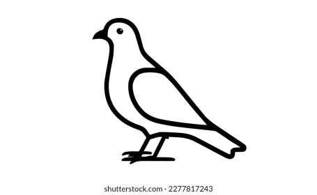 Pigeon vector black line illustration isolated white. Sketch art