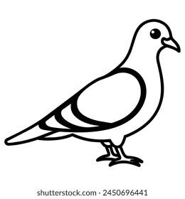 Pigeon vector black line illustration isolated white. Sketch art