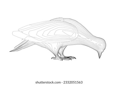 Taubenvektorkontur Zeichen flache Illustration. Taubenaube in Seitenansicht gesehen - flacher Vektorgrafik