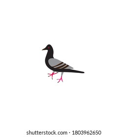 Taubenvektordesign-Symbol-Vorlage