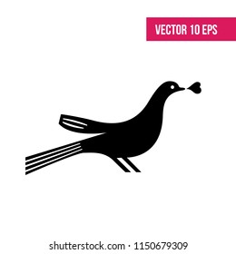 Pigeon vector, dove icon, 10 eps vector.

