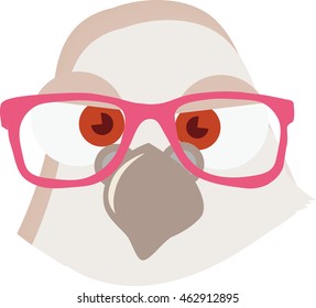 Pigeon Vector. Dove with stylish glasses. Illustration in cartoon style. Ready for package design, icon, logo design and others. Vector image of funny pigeon. Geek boy. Bird with glasses. Animal.