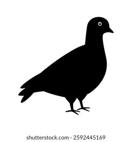 Pigeon vector Flat vector illustration simple design.