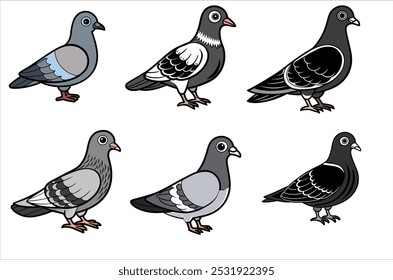 pigeon vetor , ícone ilustração vetorial, silhueta de pombo isolado em um fundo branco, eps, png,   vetor,