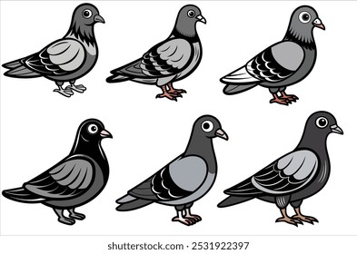 pigeon vetor , ícone ilustração vetorial, silhueta de pombo isolado em um fundo branco, eps, png,   vetor,