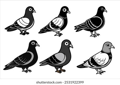 pigeon vetor , ícone ilustração vetorial, silhueta de pombo isolado em um fundo branco, eps, png,   vetor,