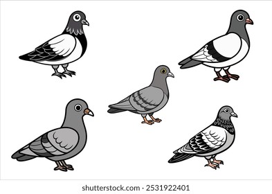 pigeon vetor , ícone ilustração vetorial, silhueta de pombo isolado em um fundo branco, eps, png,   vetor,