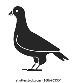 Icono de vector pichón.icono de vector negro aislado en pichón de fondo blanco.