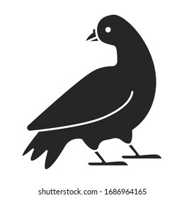 Pigeon vector icon.black vector icon isolated on white background pigeon.