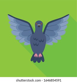 Pigeon vector icon.Flat vector icon isolated on white background pigeon.