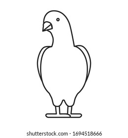 Pigeon vector icon.Outline vector icon isolated on white background pigeon.