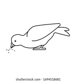 Icono de vector de pichón.Icono de vector de contorno aislado en pichón de fondo blanco.