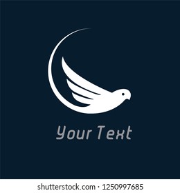 pigeon vector illustration