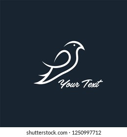 pigeon vector illustration