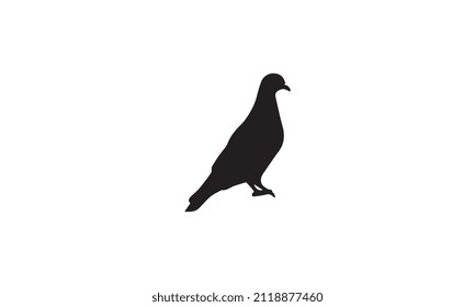 pigeon vector illustration design black and white