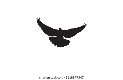 pigeon vector illustration design black and white