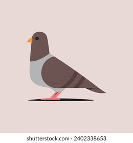 Ilustración vectorial de pichón. Paloma de estilo plano.