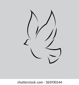 pigeon - vector illustrator