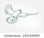 pigeon vector line art animal wild life single one line hand drawn illustration isolated