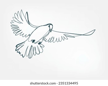 pigeon vector line art animal wild life single one line hand drawn illustration isolated