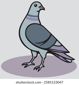 Pigeon Vector Liner art ,, Bird