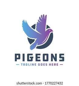 Pigeon vector logo design your company