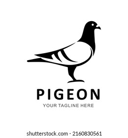 pigeon vector logo vector template