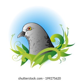 pigeon vector portrait