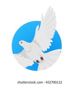 Pigeon vector. Religion, wedding, peace, pacifism, concept in flat design. Illustration for religion attributes, childrens books illustrating. White pigeon flying wings spread isolated on white.