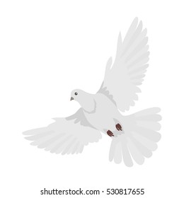 Pigeon vector. Religion, wedding, peace, pacifism, concept in flat design. Illustration for religion attributes, childrens books illustrating. White pigeon flying wings spread isolated on white.