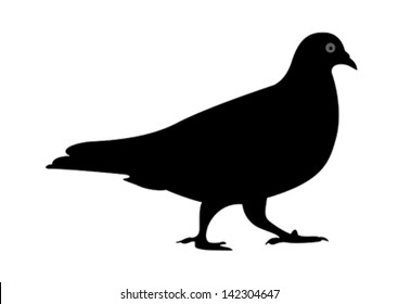 pigeon vector silhouette 