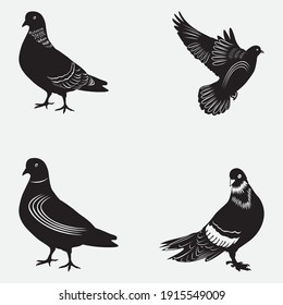 Pigeon Vector Silhouette Design Template