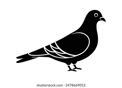 pigeon vector, silhouette , illustration , eps editable file 