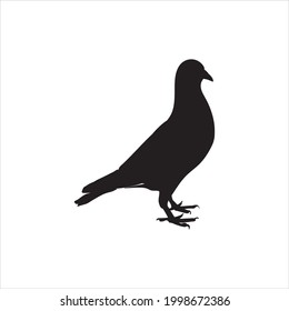 Pigeon Vector Silhouette isolated on white background.