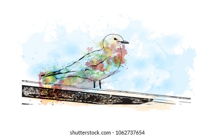Pigeon, Watercolor splash with Hand drawn sketch illustration in vector.