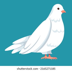 Pigeon with white feathers on wings, symbol of peace and tranquility. Avian animal, dove wildlife flora and fauna. Holy spirit and religious sign, nature and love. Vector in flat style illustration