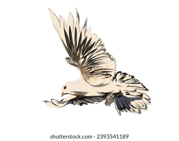 A pigeon who is flapping its wings, without background