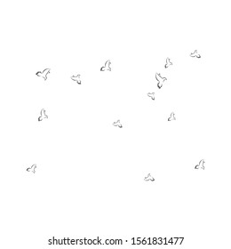 pigeons bird logo stock illustrtion