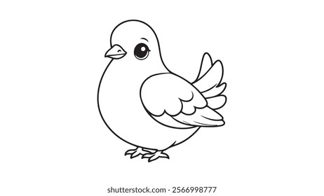 Pigeons bird vector design: Pigeons are actually highly intelligent animals