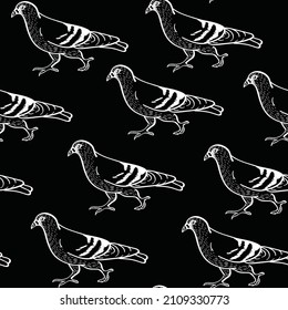 Pigeons, birds, animals vector chalk seamless pattern isolated on dark background. Concept for print, cards, wallpapers