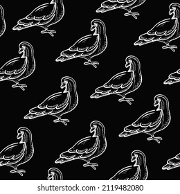 Pigeons, birds, animals vector chalk seamless pattern isolated on dark background. Concept for wallpapers, cards, print