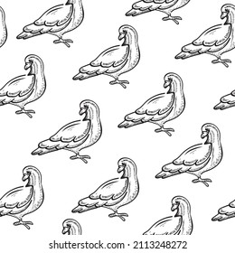 Pigeons, birds, animals vector seamless pattern isolated on bright background. Concept for wallpapers, cards, print