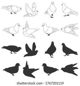 Pigeons birds vector black silhouettes set isolated on a white background.