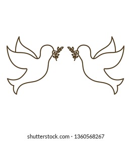 pigeons with branch in its beak