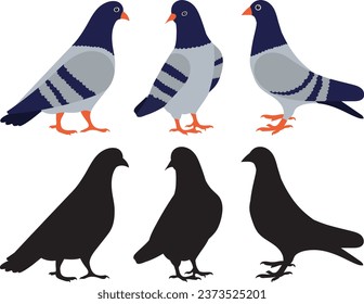 pigeons in doodle style, on a white background, vector