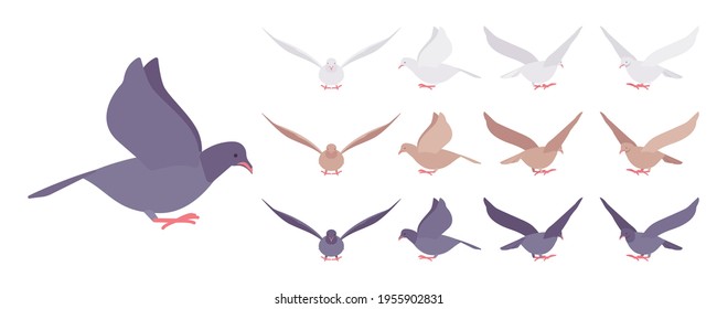 Pigeons and doves set, domestic or street bird in flight. Wildlife study, ornithology and birdwatching concept. Vector flat style cartoon illustration isolated on white background, different views