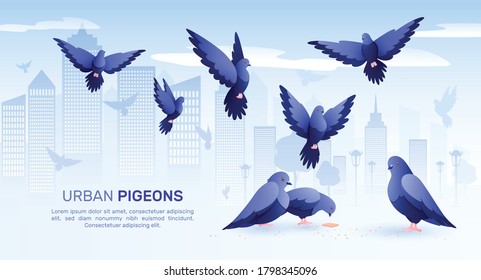 Pigeons flat composition with cityscape background silhouettes of birds and editable text with images of pigeons vector illustration