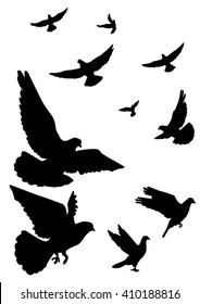 Pigeons fly. A flock of flying. Silhouette on a white background.