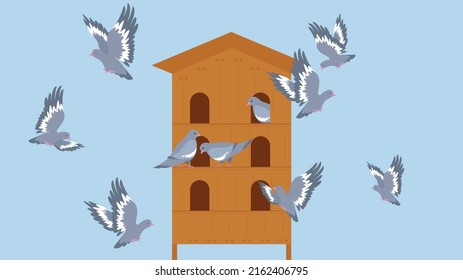 Pigeons fly near the dovecote