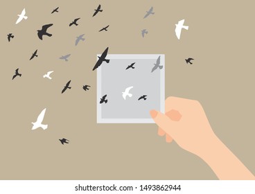 Pigeons fly out in the photo